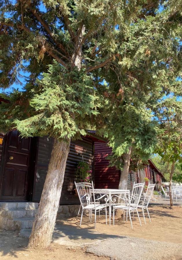 Bungalow - Camping Apollon Hotel Delphi Ngoại thất bức ảnh